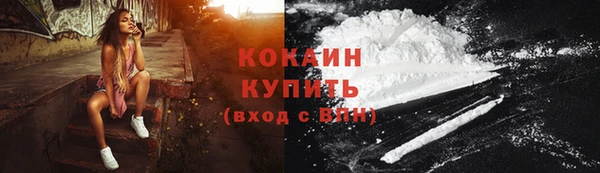 твердый Алзамай
