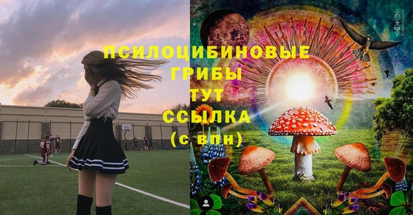 спайс Осташков