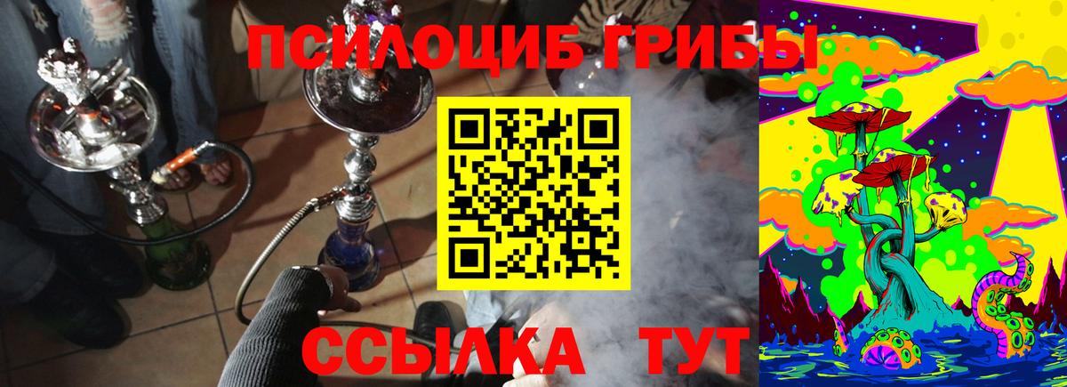 Галлюциногенные грибы Psilocybine cubensis  Вход с VPN  Галлюциногенные грибы GOLDEN TEACHER  Чапаевск 