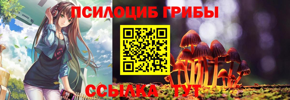 Галлюциногенные грибы Magic Shrooms Чапаевск