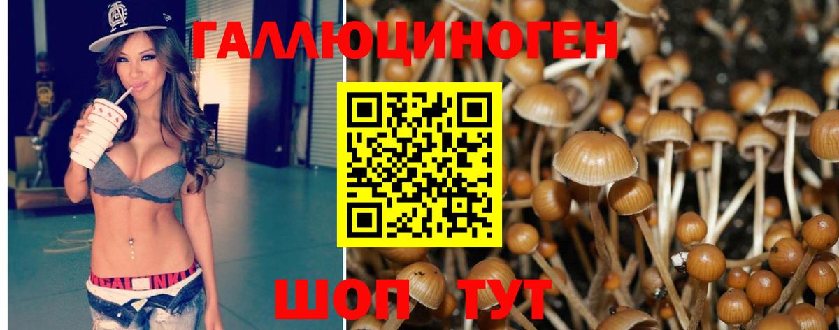 АМФЕТАМИН кристаллы  Гашиш  МЕТАМФЕТАМИН  Каннабис  Чапаевск  Вход с VPN  ГАШ  Мефедрон кристаллы  А ПВП СК кристаллы  COCAIN 